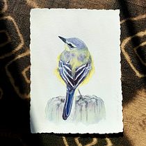 My project in Artistic Watercolor Techniques for Illustrating Birds course. Traditional illustration, Watercolor Painting, Realistic Drawing, and Naturalistic Illustration project by Jade - 03.04.2022