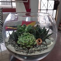 Mi Proyecto del curso: Arte vegetal: crea tu propio terrario abierto. Interior Design, L, scape Architecture, Decoration, DIY, Floral, and Plant Design project by k.grados - 03.04.2022