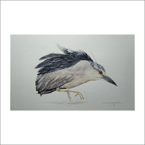 Mi Proyecto del curso: Acuarela naturalista con expresión y personalidad. Traditional illustration, Watercolor Painting, and Naturalistic Illustration project by Ivany Argueta - 03.05.2022