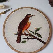 Meu projeto do curso: Needle painting para principiantes. Embroider, Naturalistic Illustration, and Textile Design project by Manoela Castejon - 03.05.2022