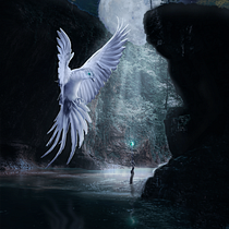 The Protector - Dinarte Vieira. Photograph, Photograph, Post-production, VFX, Photo Retouching, Fine-Art Photograph, Photographic Composition, and Photomontage project by Dinarte Vieira - 03.05.2022