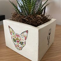 Mi Proyecto del curso: Creación de muebles en concreto para principiantes. Een project van Craft, Meubelontwerp en -bouw, Interieurontwerp,  Interieur y DIY van Alma Velazquez - 06.03.2022
