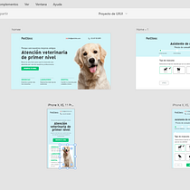 Mi Proyecto del curso: Diseño de interfaces para sitios web y aplicaciones.. Un proyecto de UX / UI, Diseño gráfico, Diseño interactivo, Diseño Web, Diseño mobile, Diseño digital, Diseño de apps y Diseño de producto digital de Janet Olvera Jaimes - 06.03.2022