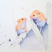 Mon projet du cours : Portraits expressifs d'animaux à l'aquarelle. Projekt z dziedziny Trad, c, jna ilustracja, Malowanie akwarelą, R, sunek realist, czn, Ilustracja naturalist i czna użytkownika Maud Panis - 07.03.2022