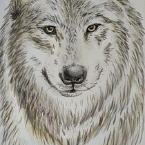 Proyecto: LOBO, acuarelas + grafito b + lapiza cafe + estilografos 0.5 y 0.05. Un progetto di Illustrazione tradizionale, Belle arti, Pittura ad acquerello e Illustrazione naturalistica di Samira Ahmeti - 07.03.2022