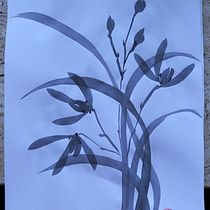 My project for course: Introduction to Sumi-e Painting. Traditional illustration, Drawing & Ink Illustration project by Julia - 03.08.2022