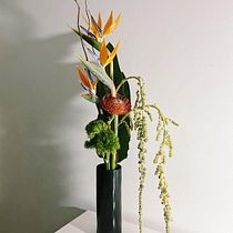 Savia Bruta project. Interior Design, L, scape Architecture, Decoration, DIY, Floral, and Plant Design project by Sara - 03.08.2022