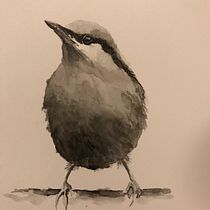 My project for course: Artistic Watercolor Techniques for Illustrating Birds. Traditional illustration, Watercolor Painting, Realistic Drawing, and Naturalistic Illustration project by Sadaf Syed - 03.24.2022