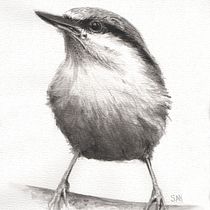 Mijn project van de cursus: Vogels illustreren met artistieke aquarel. Traditional illustration, Watercolor Painting, Realistic Drawing, and Naturalistic Illustration project by info_742389 - 03.09.2022