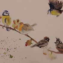 Mein Kursprojekt: Illustriere Vögel mit expressiven Aquarelltechniken. Traditional illustration, Watercolor Painting, Realistic Drawing, and Naturalistic Illustration project by Katrin Krammer - 03.09.2022