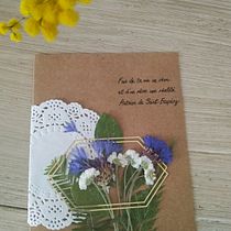 Mon projet du cours : Techniques de base pour le pressage de plantes. Un progetto di Artigianato, Belle arti, Collage, DIY e Design floreale e vegetale di laurie_51 - 09.03.2022