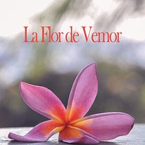 La Flor de Vemor Ein Projekt aus dem Bereich Schrift, Stor, telling, Erzählung, Literarisches schreiben und Kreatives Schreiben von Veronica Montesdeoca - 10.03.2022