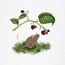 Roedor curioso. Un progetto di Illustrazione tradizionale, Illustrazione digitale e Disegno digitale di Antonia Moena Burgos - 10.03.2022