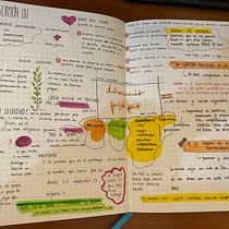 Mi Proyecto del curso: Introducción al bullet journal ilustrado. Projekt z dziedziny Trad, c, jna ilustracja, Craft, T, pografia,  R, sunek, R, sunek botaniczn, DIY,  Pismo dekorac i jne użytkownika cdd2hct45n - 10.03.2022