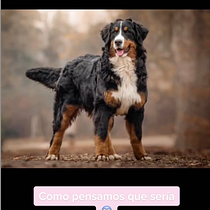 Mi Proyecto del curso: Introducción a TikTok para creativos. Un proyecto de Fotografía, Marketing, Redes Sociales, Marketing Digital, Marketing de contenidos, Comunicación, Fotografía Lifest, le y Diseño de Núria - 11.03.2022