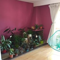 Mi Proyecto del curso: Estilismo y decoración del hogar con plantas. Design interativo, Decoração de interiores, Interiores, DIY, Design floral e vegetal, e Design de espaços projeto de rubisabrina.89 - 11.03.2022