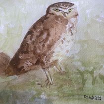 Meu projeto do curso: Técnicas expressivas de aquarela para ilustração de pássaros. Traditional illustration, Watercolor Painting, Realistic Drawing, and Naturalistic Illustration project by Dilson Antonio da Silva - 03.09.2022