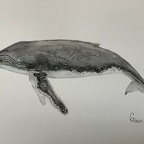 My project for course: Naturalist Illustration Techniques: Whales in Watercolor. Un progetto di Illustrazione tradizionale, Design di poster , Illustrazione digitale e Manga di Cristina Nava - 11.03.2022