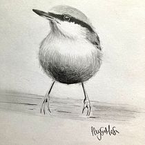 Mi Proyecto del curso: Acuarela artística para ilustración de aves. Projekt z dziedziny Trad, c, jna ilustracja, Malowanie akwarelą, R, sunek realist, czn, Ilustracja naturalist i czna użytkownika Lleysa Mesa - 11.03.2022