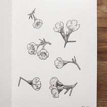 Mon projet du cours : Carnet de croquis : illustrez vos expériences personnelles. Ilustração tradicional, Esboçado, Desenho, Sketchbook e Ilustração com tinta projeto de Julie Miette - 12.03.2022
