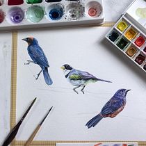Meu projeto do curso: Técnicas expressivas de aquarela para ilustração de pássaros. Traditional illustration, Watercolor Painting, Realistic Drawing, and Naturalistic Illustration project by CAMILA OLIVEIRA - 03.12.2022
