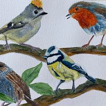 My project for course: Artistic Watercolor Techniques for Illustrating Birds. Traditional illustration, Watercolor Painting, Realistic Drawing, and Naturalistic Illustration project by Sharon Tayfield - 03.12.2022