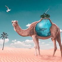 Le Dromad'eau. Photograph, Collage, Photo Retouching, Digital Illustration, Photographic Composition, and Photomontage project by Pascal GRANGER - 03.13.2022