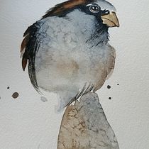 Mi Proyecto del curso: Acuarela naturalista con expresión y personalidad. Traditional illustration, Watercolor Painting, and Naturalistic Illustration project by Carmen Flores - 03.13.2022