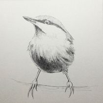 My project for course: Artistic Watercolor Techniques for Illustrating Birds. Traditional illustration, Watercolor Painting, Realistic Drawing, and Naturalistic Illustration project by scottsimmons1 - 03.11.2022