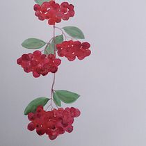 Red winter berries. Traditional illustration, Painting, Drawing, Watercolor Painting, Ink Illustration, and Naturalistic Illustration project by aurore.pornin - 03.15.2022