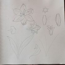 Mi Proyecto del curso: Dibujo y composición naturalista en acuarela. Traditional illustration, Drawing, Watercolor Painting, and Naturalistic Illustration project by Sandra Orozco Vergara - 03.15.2022