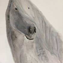Mon projet du cours : Portraits expressifs d'animaux à l'aquarelle. Projekt z dziedziny Trad, c, jna ilustracja, Malowanie akwarelą, R, sunek realist, czn, Ilustracja naturalist i czna użytkownika josianepasquier - 15.03.2022
