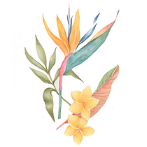 Meu projeto do curso: Aquarela realista para composições botânicas. Traditional illustration, Painting, Drawing, Watercolor Painting, and Botanical Illustration project by Edi Assis - 03.15.2022