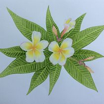 My project for course: Botanical Watercolor: Illustrate the Anatomy of Flowers. Un progetto di Illustrazione tradizionale, Belle arti, Pittura, Disegno, Pittura ad acquerello e Illustrazione botanica di Sharon O’Rourke - 16.03.2022