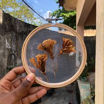 Meu projeto do curso: Bordado em tule com plantas e flores naturais. Embroider, DIY, Floral, Plant Design, and Textile Design project by Raquel Cristina Francisco - 03.16.2022