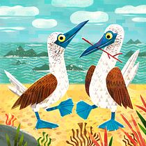 Blue-Footed Boobies for course Playful Animal Illustration with Photoshop. Traditional illustration, and Digital Illustration project by Valeria Danilova - 03.17.2022