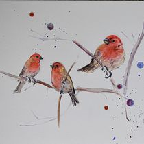 My project for course: Artistic Watercolor Techniques for Illustrating Birds. Traditional illustration, Watercolor Painting, Realistic Drawing, and Naturalistic Illustration project by Tamara Chaisson - 03.17.2022