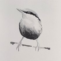 My project for course: Artistic Watercolor Techniques for Illustrating Birds. Traditional illustration, Watercolor Painting, Realistic Drawing, and Naturalistic Illustration project by Regina Go - 03.18.2022