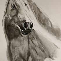 Mon projet du cours : Portraits expressifs d'animaux à l'aquarelle. Projekt z dziedziny Malowanie akwarelą, R, sunek realist, czn, Ilustracja naturalist i czna użytkownika Marléne Benazech - 18.03.2022