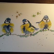 Il mio progetto del corso: Acquerello artistico per illustrazione di animali: gli uccelli. Traditional illustration, Watercolor Painting, Realistic Drawing, and Naturalistic Illustration project by eleonoraiotti71 - 03.18.2022