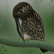 My project for course: Artistic Watercolor Techniques for Illustrating Birds. Traditional illustration, Watercolor Painting, Realistic Drawing, and Naturalistic Illustration project by waynetracks - 04.08.2022
