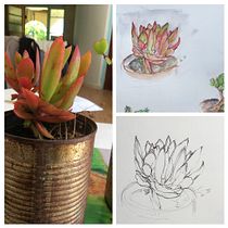 Sketching in Nature . Un progetto di Illustrazione tradizionale, Bozzetti, Disegno, Pittura ad acquerello, Illustrazione botanica e Sketchbook di Jenny Alphen - 30.10.2022