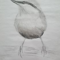 Il mio progetto del corso: Acquerello artistico per illustrazione di animali: gli uccelli. Traditional illustration, Watercolor Painting, Realistic Drawing, and Naturalistic Illustration project by lucianivaleria - 03.19.2022