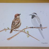 Mi Proyecto del curso: Acuarela artística para ilustración de aves. Traditional illustration, Watercolor Painting, Realistic Drawing, and Naturalistic Illustration project by delfinavb86 - 03.19.2022