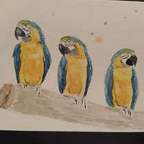 My project for course: Artistic Watercolor Techniques for Illustrating Birds. Traditional illustration, Watercolor Painting, Realistic Drawing, and Naturalistic Illustration project by Olive - 03.21.2022