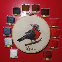 "Loica": Proyecto de bordado realista.. Traditional illustration, Embroider, and Textile Design project by Xavi DeRaki - 03.22.2022