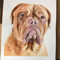 My project for course: Nancy,  Dogue de Bordeaux Ein Projekt aus dem Bereich Traditionelle Illustration, Aquarellmalerei, Realistische Zeichnung und Naturalistische Illustration von bev_willoughby - 22.03.2022
