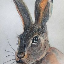 Mi Proyecto del curso: Técnicas experimentales de acuarela Ein Projekt aus dem Bereich Traditionelle Illustration, Bildende Künste, Aquarellmalerei und Naturalistische Illustration von Mónica Barrón - 23.03.2022