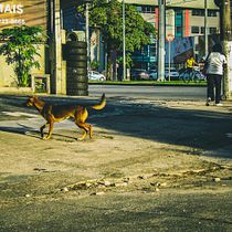 Aquela velha câmera naquela manhã ensolarada. Un projet de Photographie, Photographie extérieure, Photographie documentaire, Photographie lifest , et le de cristina_f_santana - 23.03.2022