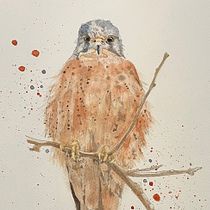 My project for course: Artistic Watercolor Techniques for Illustrating Birds. Traditional illustration, Watercolor Painting, Realistic Drawing, and Naturalistic Illustration project by jsigmon6626 - 03.22.2022